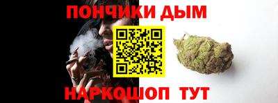 индика Анжеро-Судженск