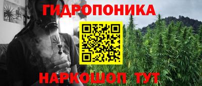 индика Анжеро-Судженск