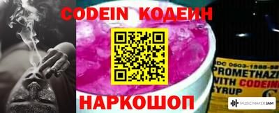 индика Анжеро-Судженск
