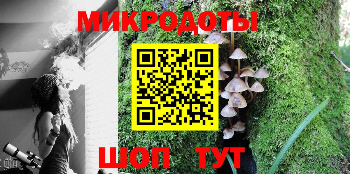 Галлюциногенные грибы Psilocybe  Вход с VPN  Горячий Ключ 