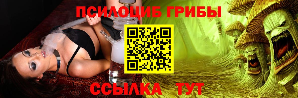 Галлюциногенные грибы мицелий Горячий Ключ